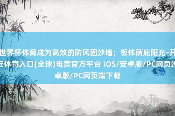 世界杯体育成为高效的防风固沙墙；板体荫庇阳光-开yun云体育入口(全球)电竞官方平台 iOS/安卓版/PC网页端下载